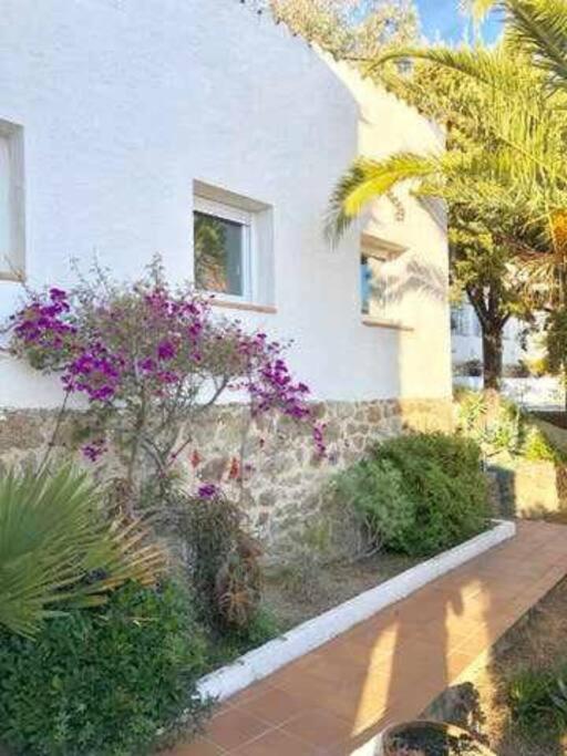 רוזס Amplio Apartamento Con Jardin En Almadrava מראה חיצוני תמונה