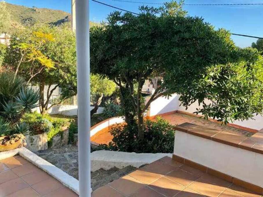 רוזס Amplio Apartamento Con Jardin En Almadrava מראה חיצוני תמונה